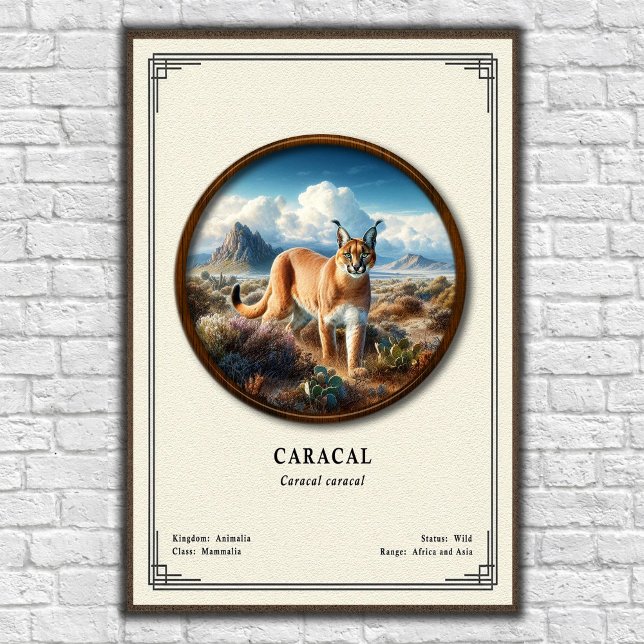 Affiche Série de zoologie du Caracal (Créateur téléchargé)