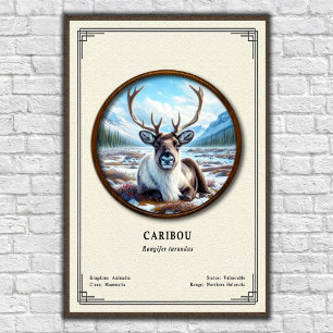 Affiche Série de zoologie du caribou