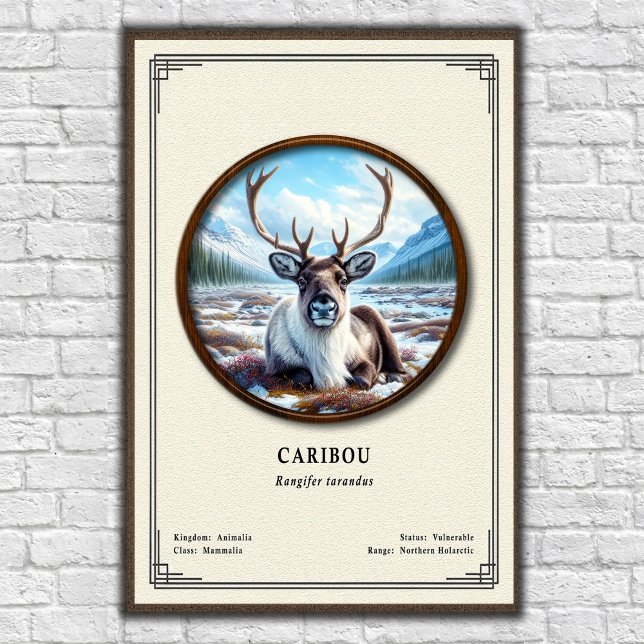 Affiche Série de zoologie du caribou (Créateur téléchargé)