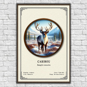 Affiche Série de zoologie du caribou