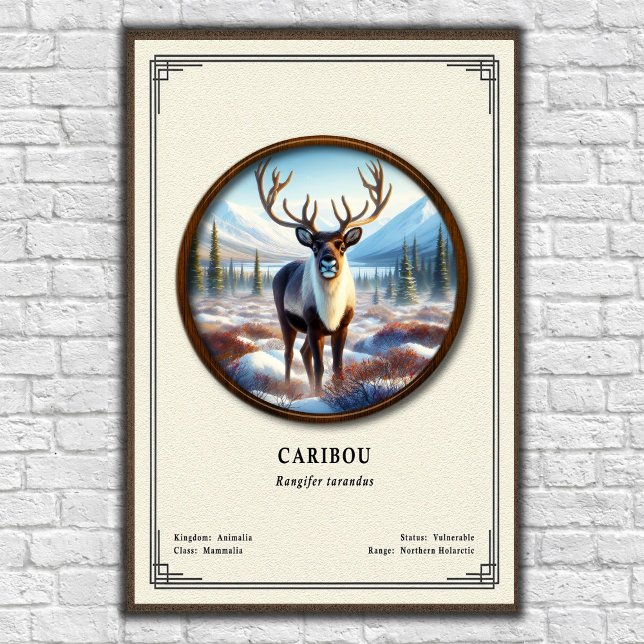Affiche Série de zoologie du caribou (Créateur téléchargé)