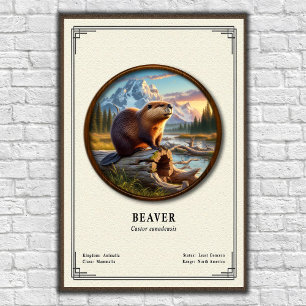 Affiche Série de zoologie du castor