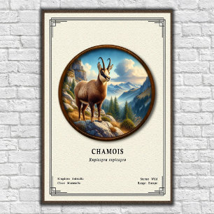 Affiche Série de zoologie du chamois