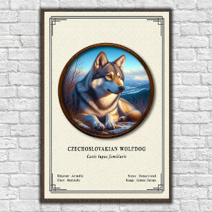 Affiche Série de zoologie du chien-loup tchécoslovaque