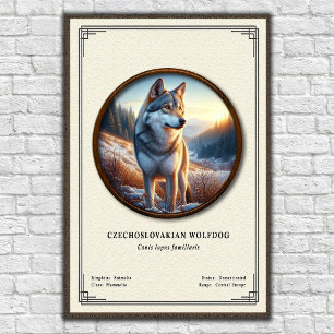 Affiche Série de zoologie du chien-loup tchécoslovaque