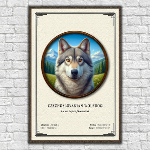 Affiche Série de zoologie du chien-loup tchécoslovaque