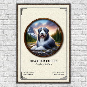 Affiche Série de zoologie du Colley barbu