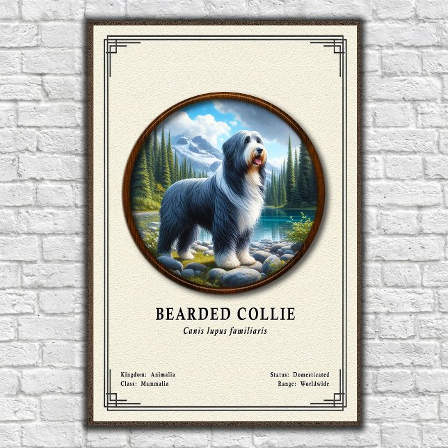 Affiche Série de zoologie du Colley barbu (Créateur téléchargé)