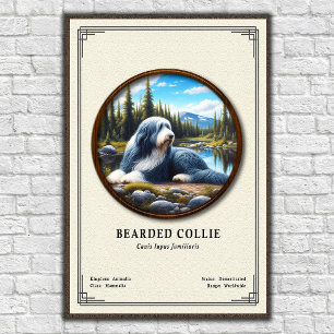 Affiche Série de zoologie du Colley barbu