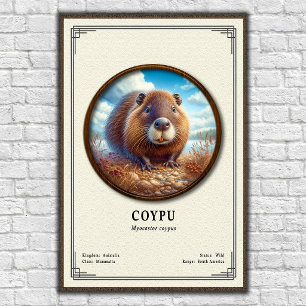 Affiche Série de zoologie du Coypu