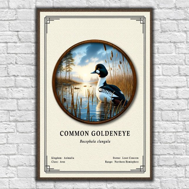Affiche Série de zoologie du Garrot à œil d'or (Créateur téléchargé)