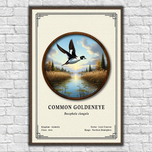 Affiche Série de zoologie du garrot commun (Créateur téléchargé)