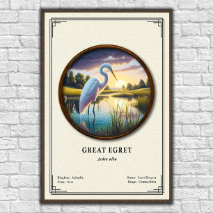 Affiche Série de zoologie du Grand Héron