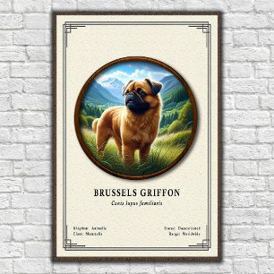 Affiche Série de zoologie du Griffon de Bruxelles