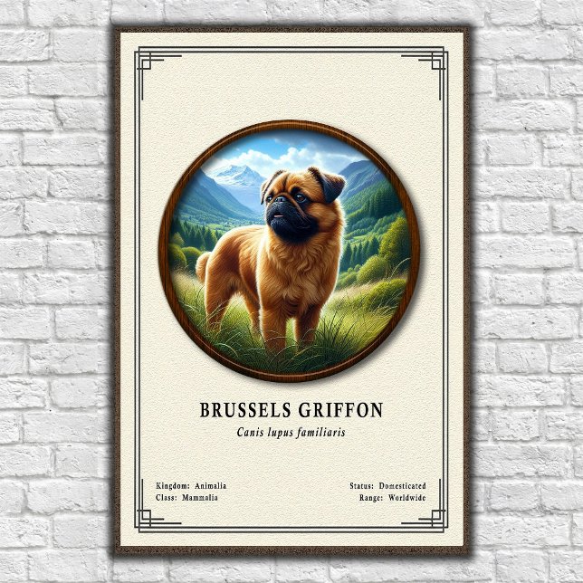 Affiche Série de zoologie du Griffon de Bruxelles (Créateur téléchargé)