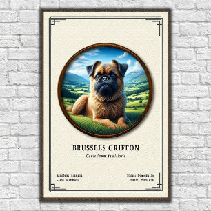 Affiche Série de zoologie du Griffon de Bruxelles