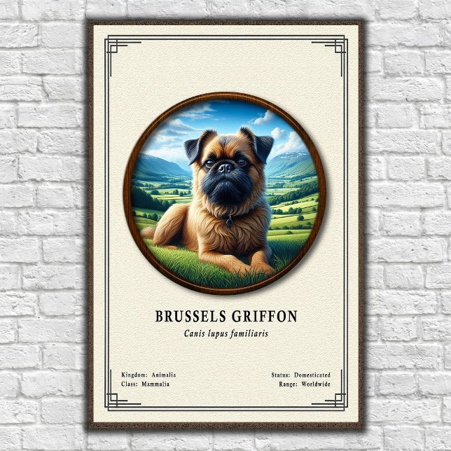 Affiche Série de zoologie du Griffon de Bruxelles (Créateur téléchargé)