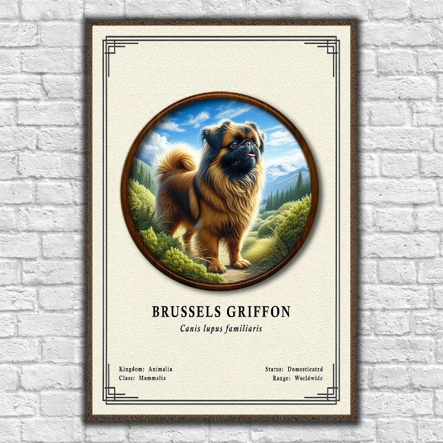 Affiche Série de zoologie du Griffon de Bruxelles (Créateur téléchargé)