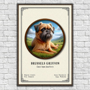 Affiche Série de zoologie du Griffon de Bruxelles