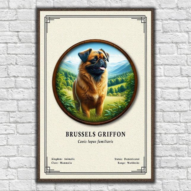 Affiche Série de zoologie du Griffon de Bruxelles (Créateur téléchargé)