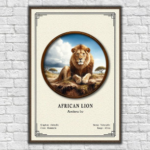 Affiche Série de zoologie du lion africain