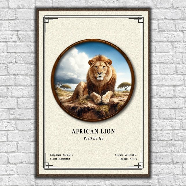 Affiche Série de zoologie du lion africain (Créateur téléchargé)