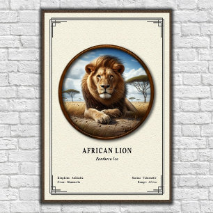 Affiche Série de zoologie du lion africain