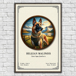 Affiche Série de zoologie du Malinois belge