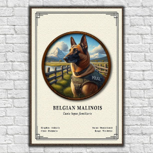 Affiche Série de zoologie du Malinois belge