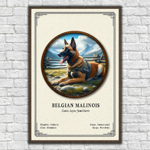Affiche Série de zoologie du Malinois belge