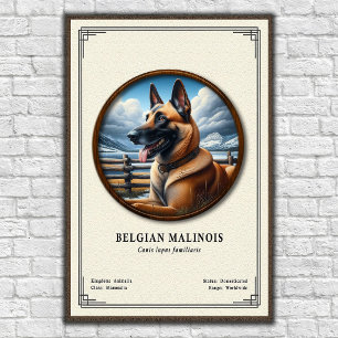 Affiche Série de zoologie du Malinois belge