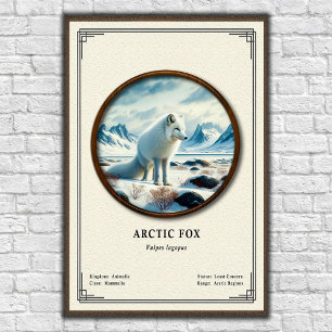 Affiche Série de zoologie du renard arctique