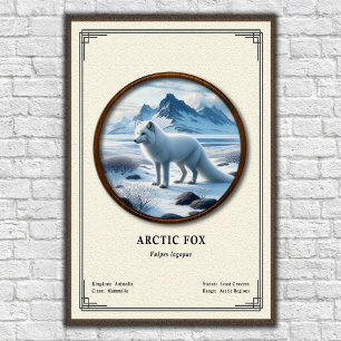 Affiche Série de zoologie du renard arctique