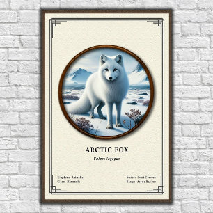 Affiche Série de zoologie du renard arctique