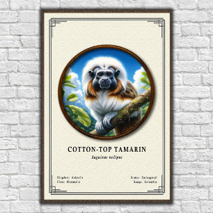 Affiche Série de zoologie du Tamarin à tête blanche