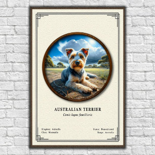 Affiche Série de zoologie du Terrier Australien