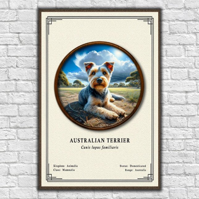 Affiche Série de zoologie du Terrier Australien (Créateur téléchargé)