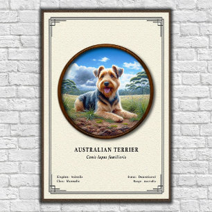 Affiche Série de zoologie du Terrier Australien