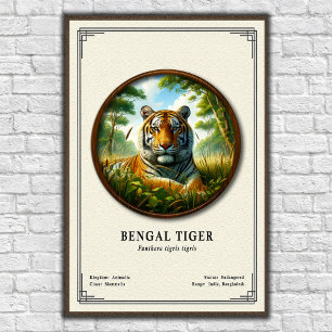 Affiche Série de zoologie du tigre du Bengale