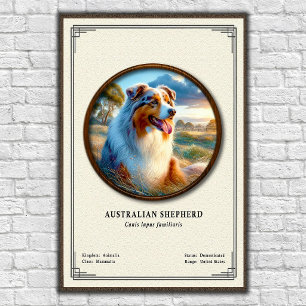 Affiche Série de zoologie sur le berger australien