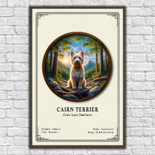Affiche Série de zoologie sur le Cairn Terrier