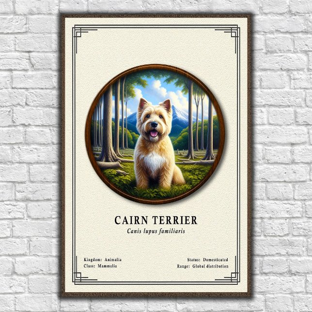Affiche Série de zoologie sur le Cairn Terrier (Créateur téléchargé)