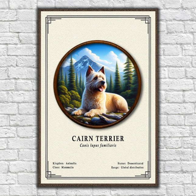 Affiche Série de zoologie sur le Cairn Terrier (Créateur téléchargé)