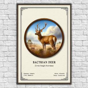 Affiche Série de zoologie sur le cerf bactrien