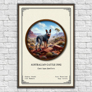 Affiche Série de zoologie sur le chien de berger australie