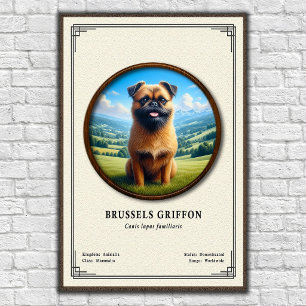 Affiche Série de zoologie sur le Griffon de Bruxelles