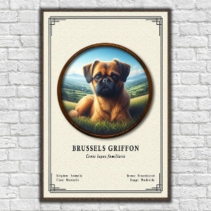 Affiche Série de zoologie sur le Griffon de Bruxelles