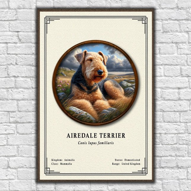 Affiche Série de zoologie Terrier Airedale (Créateur téléchargé)
