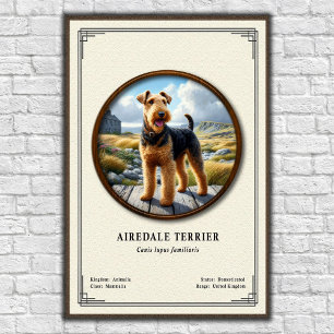Affiche Série de zoologie Terrier Airedale