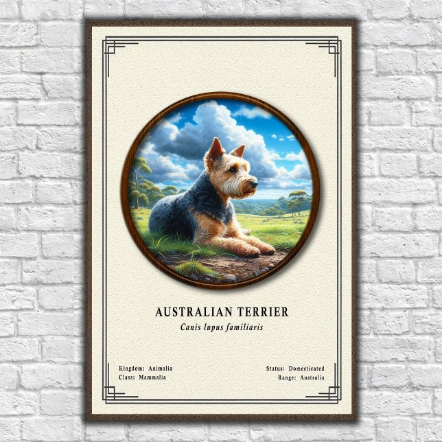 Affiche Série de zoologie Terrier Australien (Créateur téléchargé)